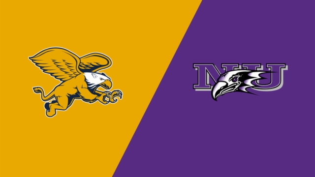 多方面的 多方面的